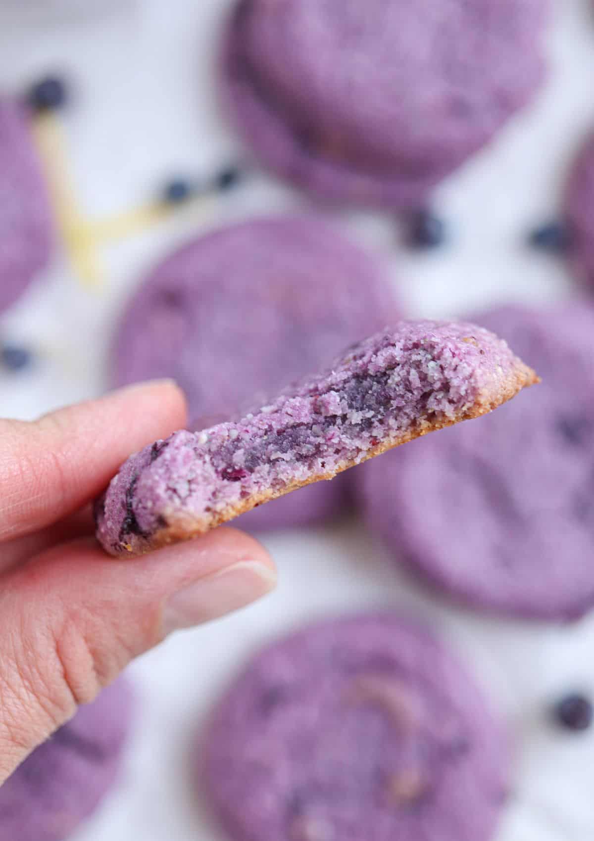 blueberry lemon cookie, bite shot, help in two fingers.
