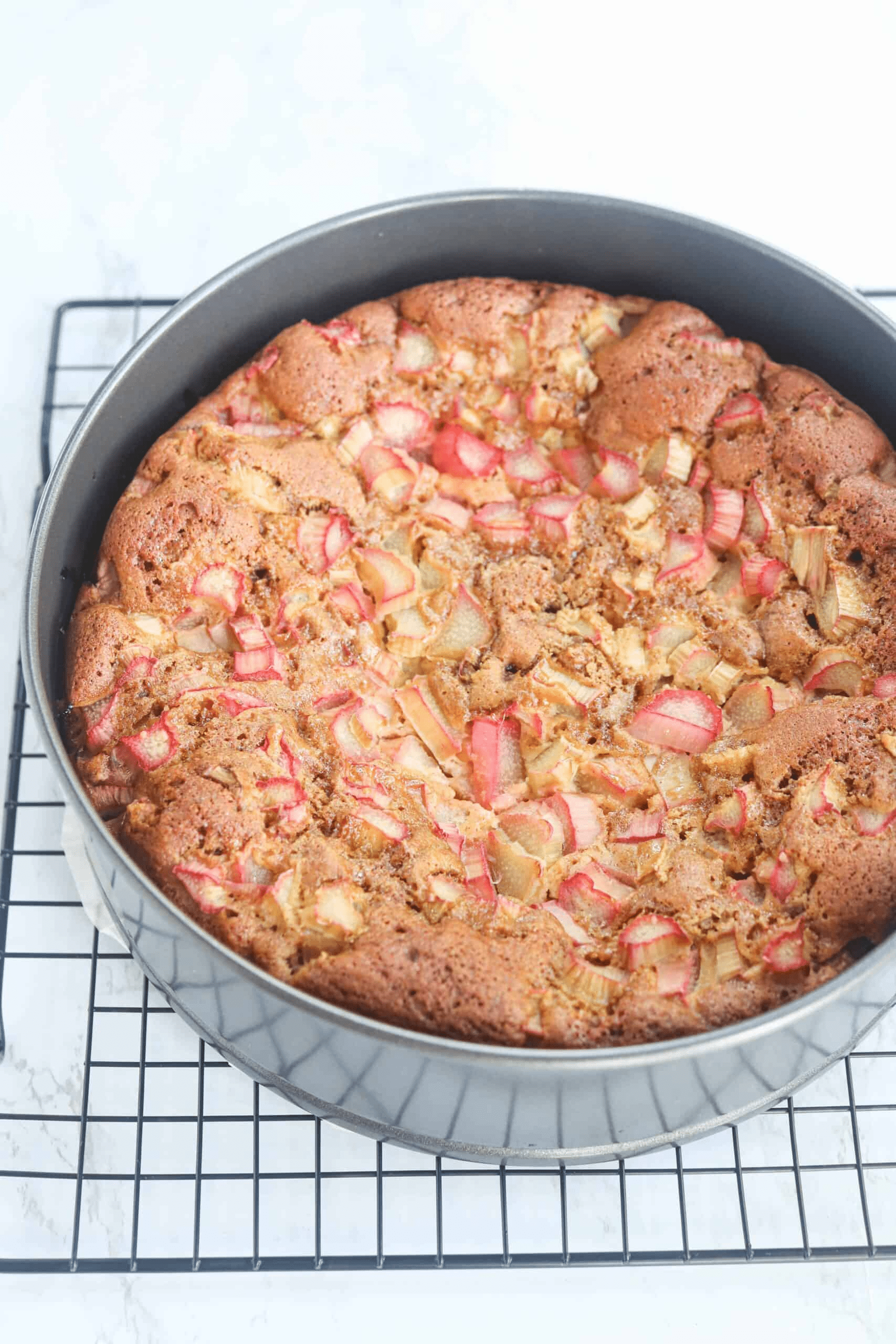 rhubarb cake in a spring form right after baking on a black cooling rack. 