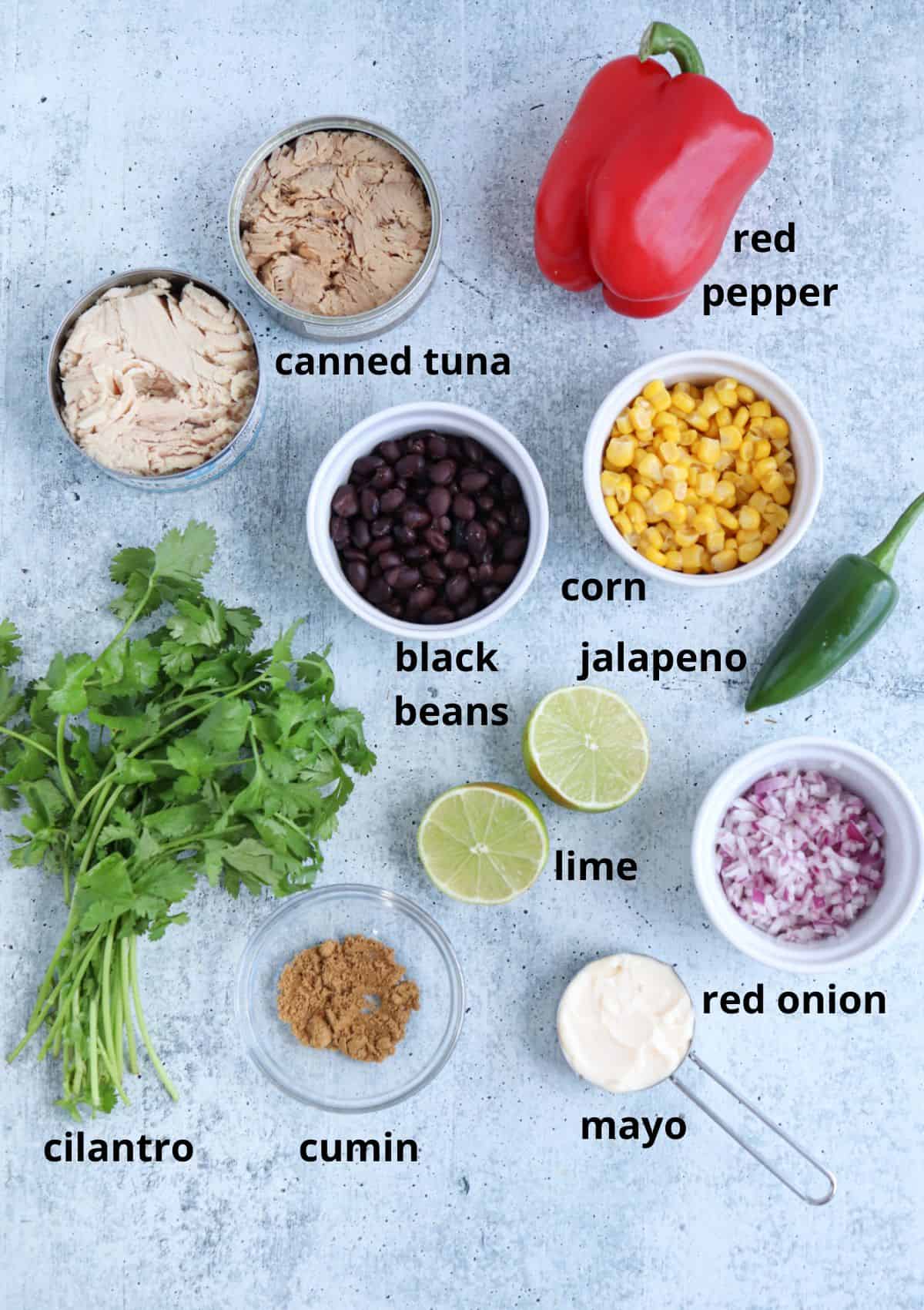 ingredients for making Mexican tuna salad on gray surface.