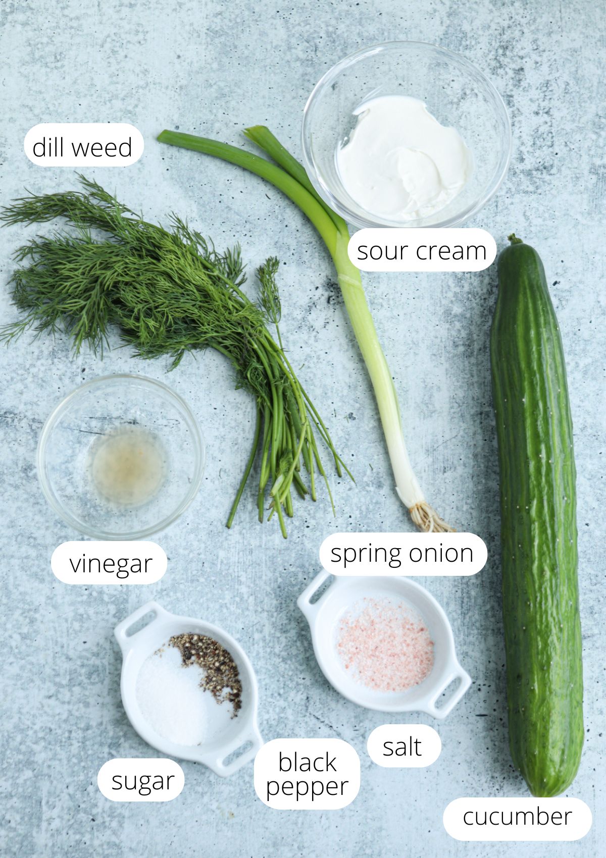 Top-down view of labeled ingredients for Polish cucumber salad on a gray surface: fresh dill weed, a spring onion, a long cucumber, bowls of sour cream, vinegar, salt, sugar, and black pepper.