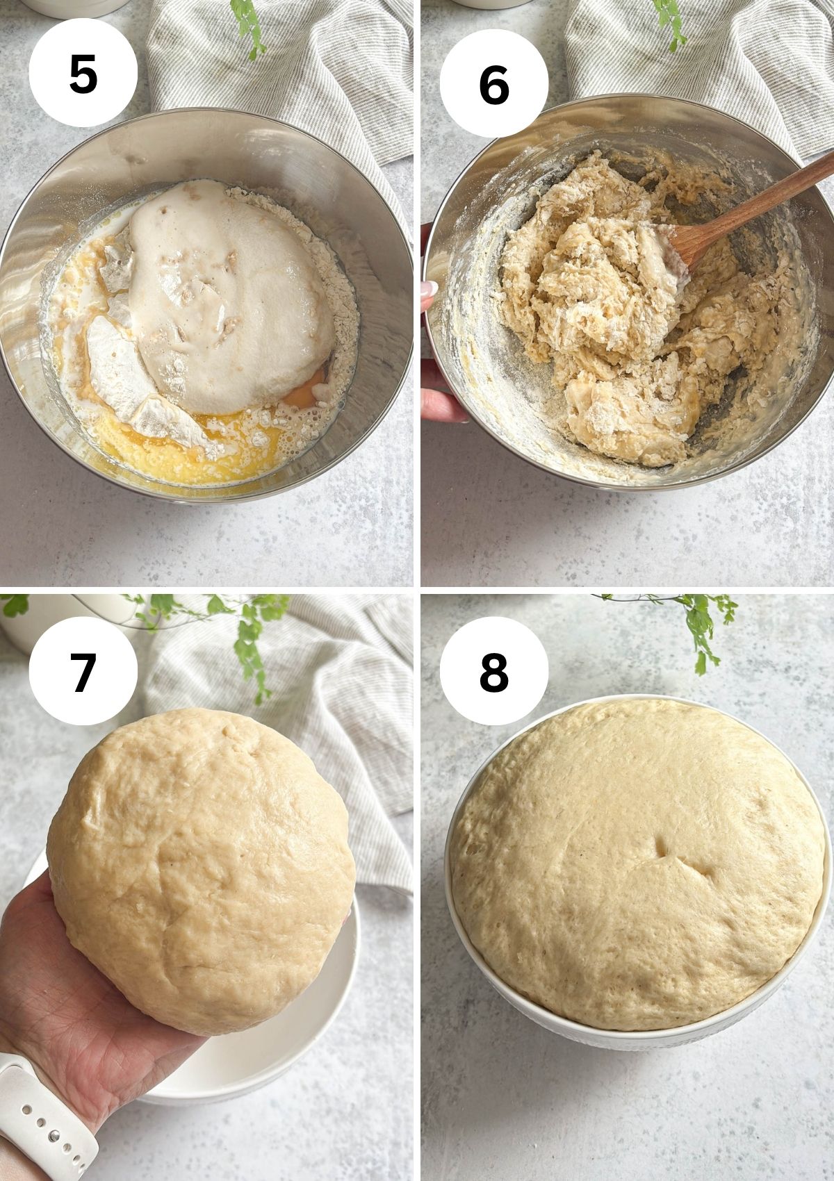 Step-by-step collage of dough being mixed, kneaded, and allowed to rise in preparation for making Polish sweet rolls drożdżówki. Steps 5 and 6 show the mixing process, step 7 highlights the kneaded dough, and step 8 displays the dough doubled in size.